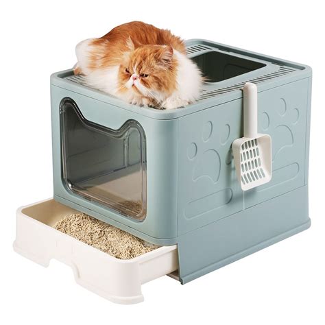 covered litter box for kittens